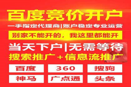 SEM托管公司案例分析：优化预算分配